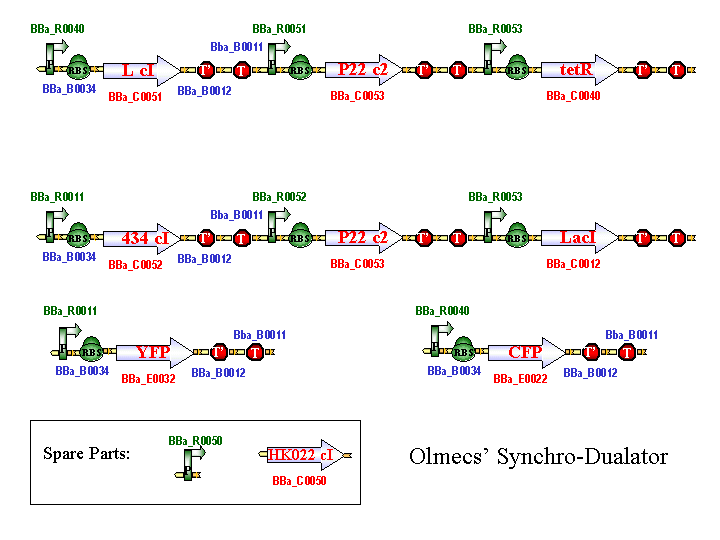 Pathway design for the 2003 IAP iGEM class