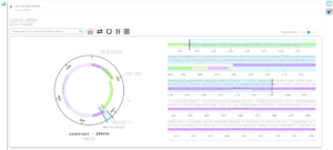 SeqViz view in DNA design tool