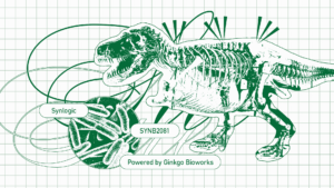 A very fine illustration in green of an X-rayed T. rex with a bundle of E. coli in an inset circle and the word Sue written in cursive overlayed on top of everything