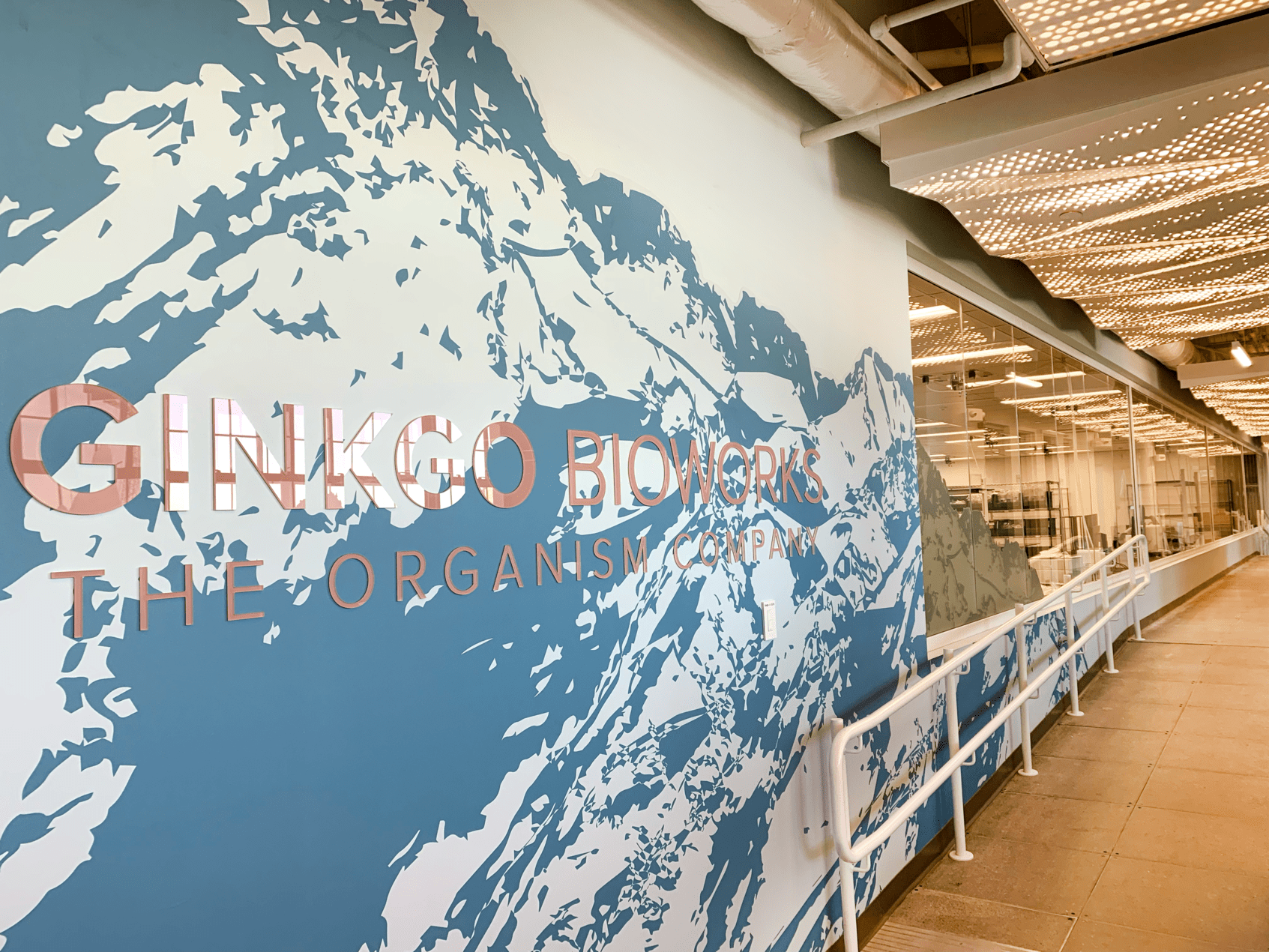 Entryway wall with the words Ginkgo Bioworks overlaid on a graphic of a large mountain range in blue