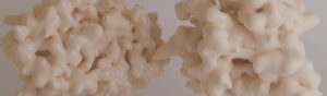 A closeup of a 3D rendering of proteins colored a milky white evoking milk proteins