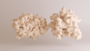 A 3D rendering of two milky white proteins interacting with each other