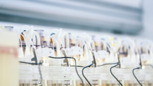Closeup shot of a row of automated small scale fermentation bioreactors