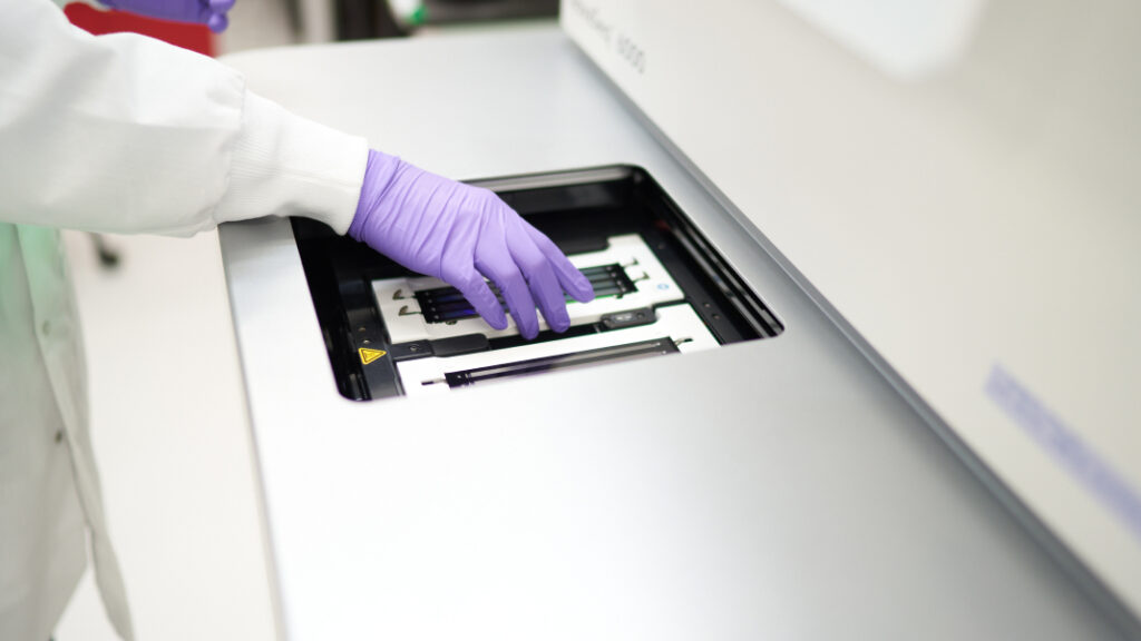 A scientist places a set of samples into a sequencer to sequence the candidates' genomes